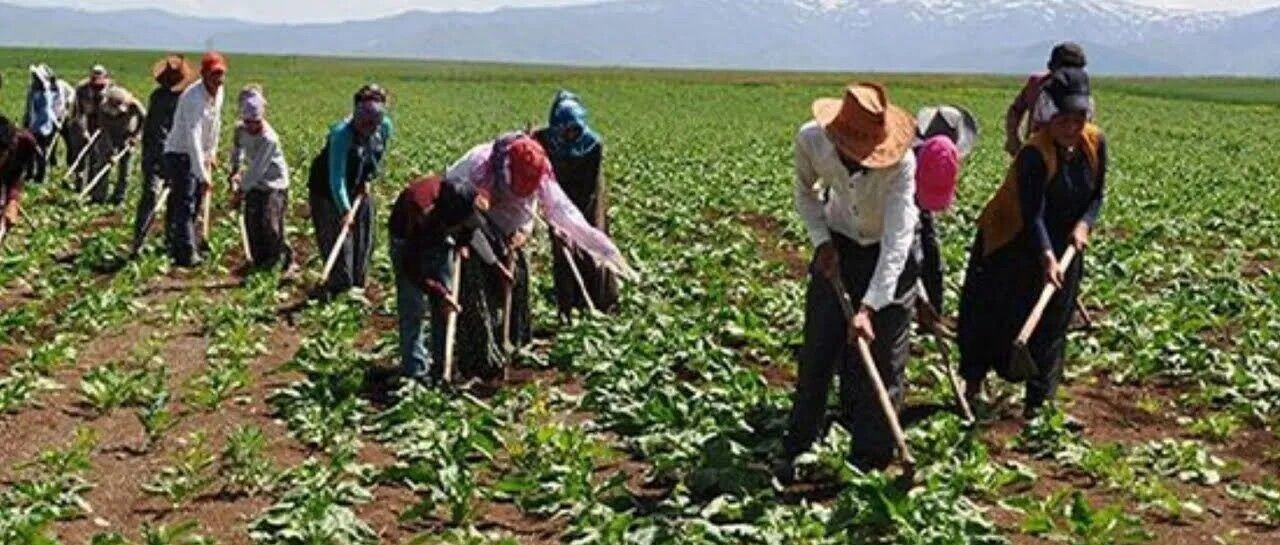 Bayram 20240412 121559 0000 1