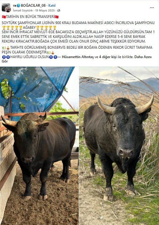 Ekran Görüntüsü 2026 05 07 192417