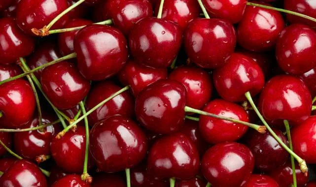 Izmir De Sezonun Ilk Kiraz Ihracati Yapildi 6846 Webp