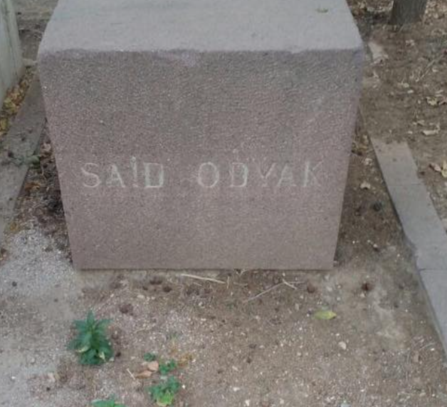 Said Odyak2