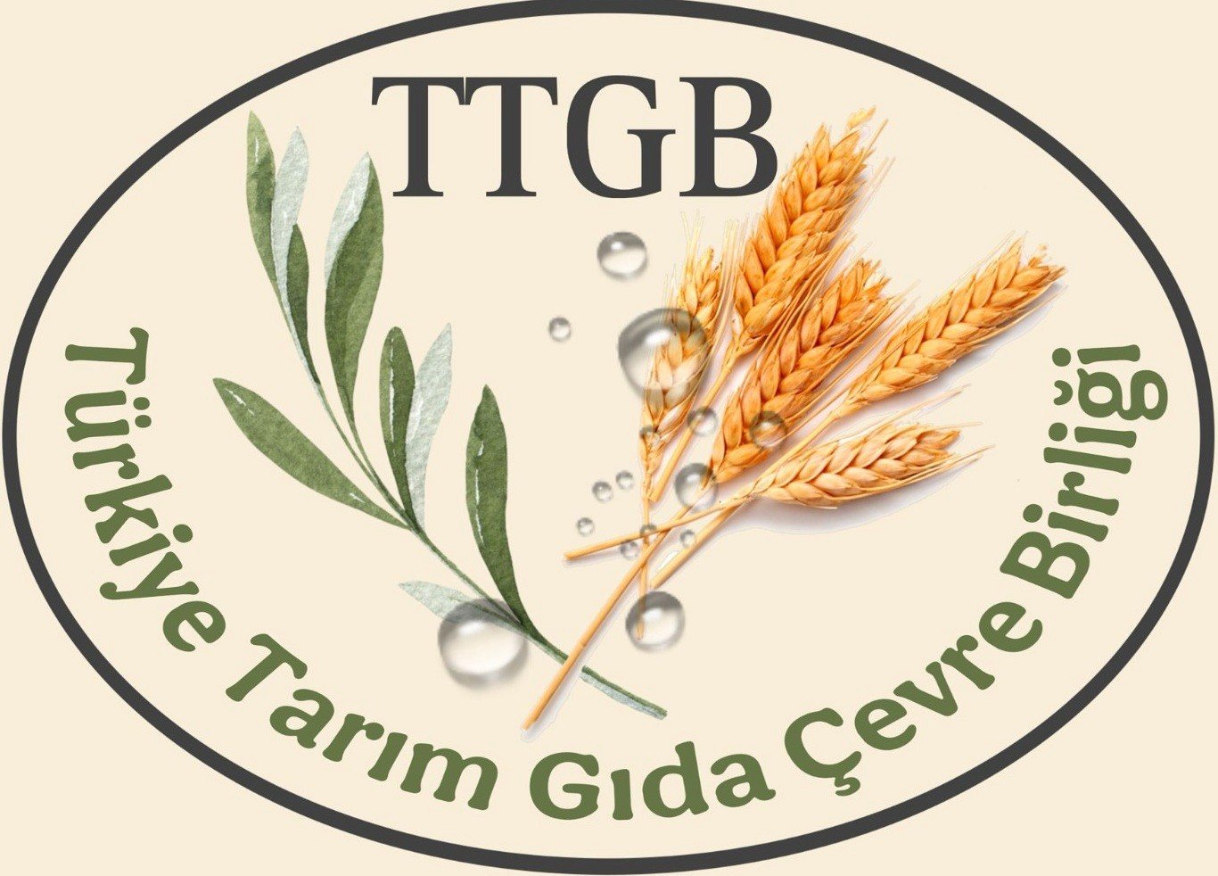Ttgb Logo