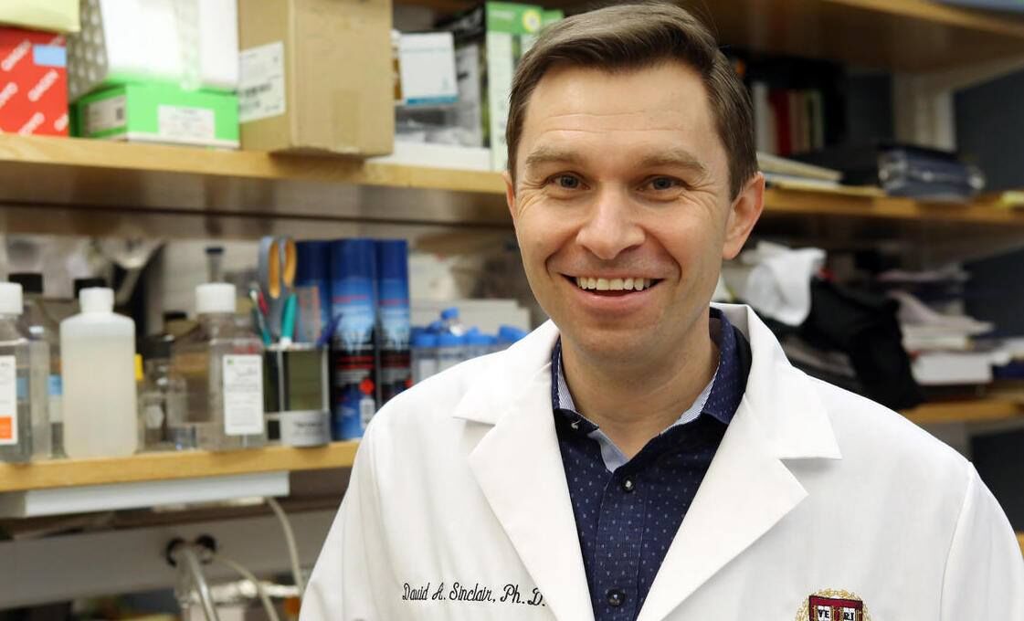 Dr. David Sinclair