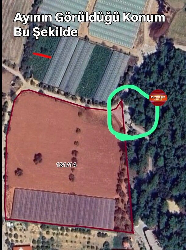 Ekran Görüntüsü 2026 06 22 222514