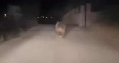 Ekran Görüntüsü 2026 06 24 000435