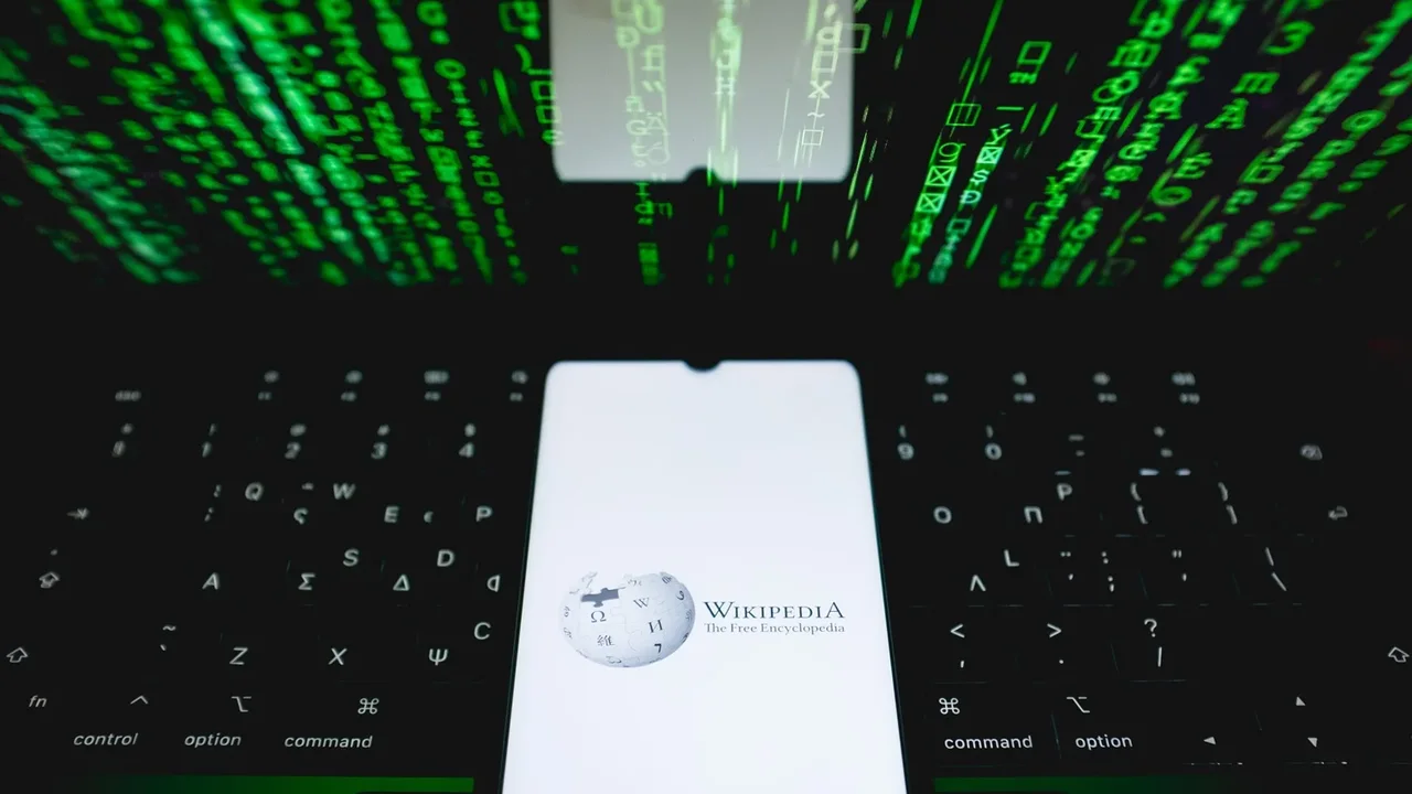 Wikipedia Kurucusu Platformda Engellendi