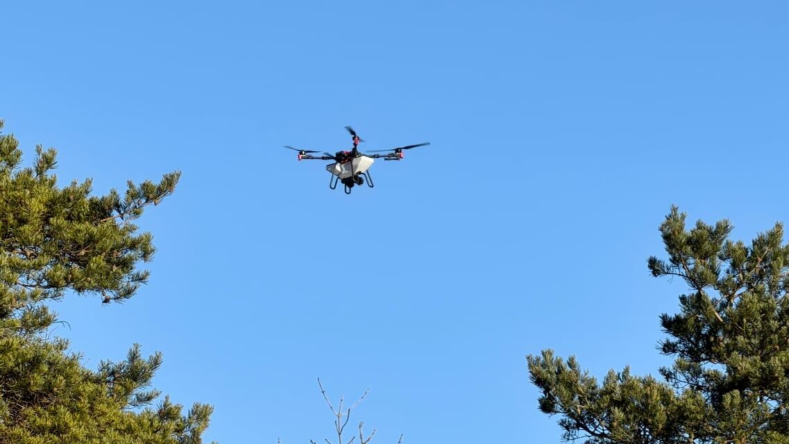 Yok Olan Ormanlar Drone Teknolojisiyle Hayata Dönüyor-1