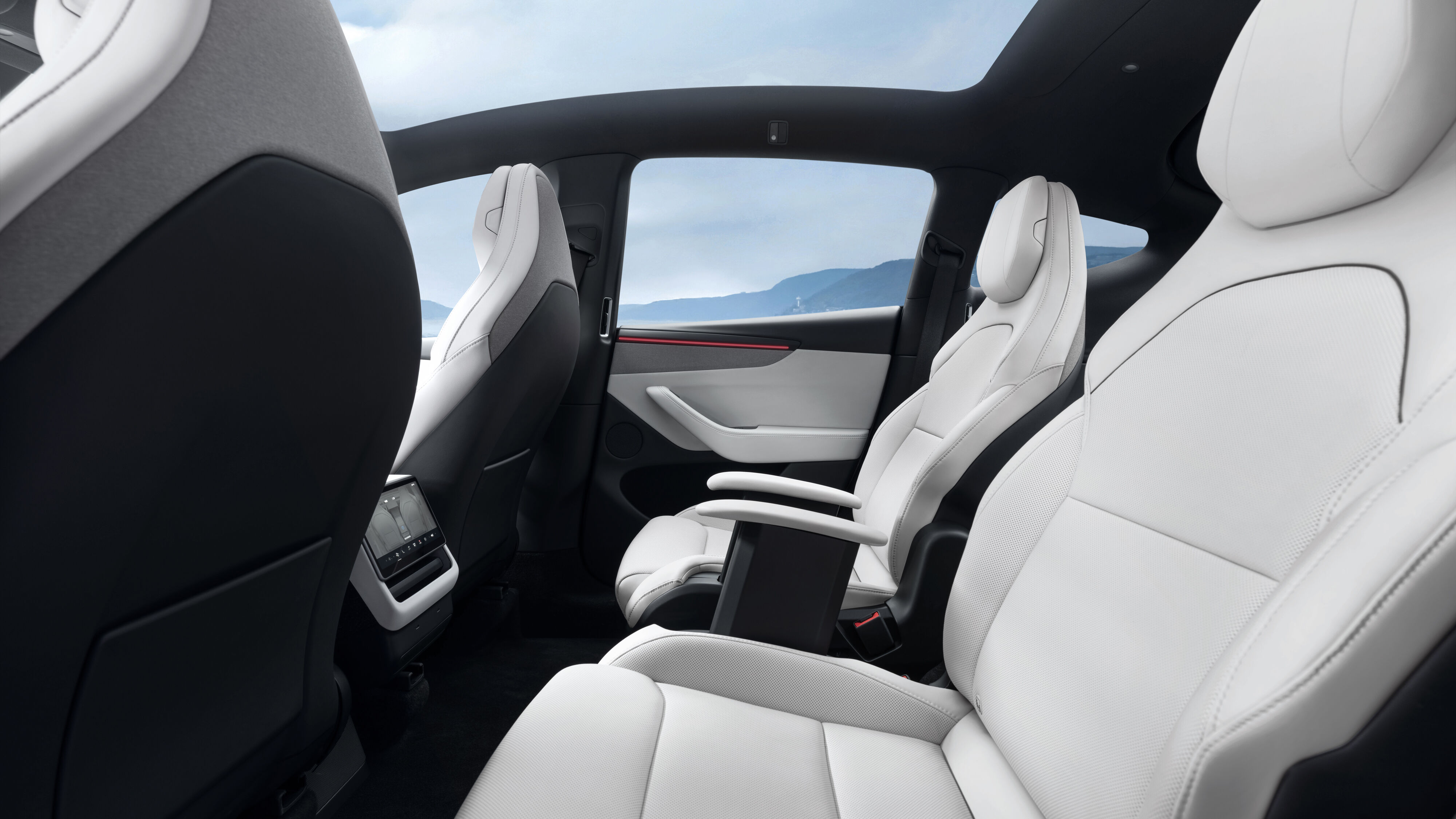 Model Y L Na 86