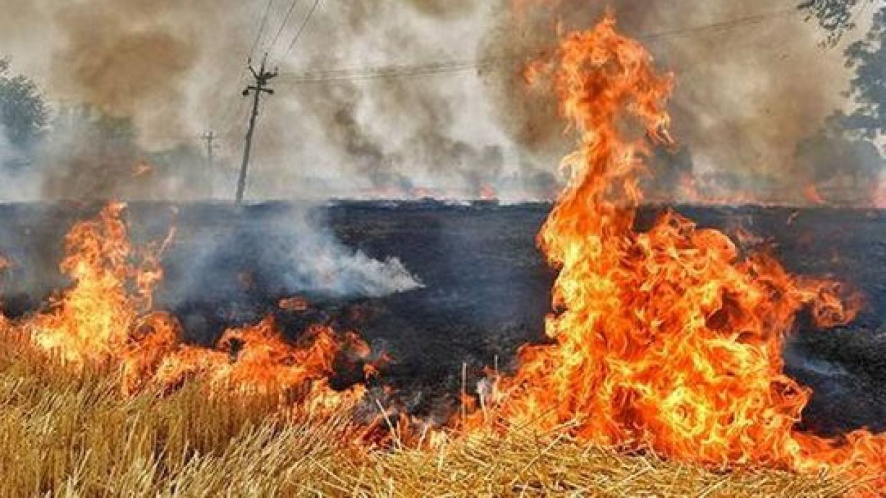 Torbalı’da anız alarmı