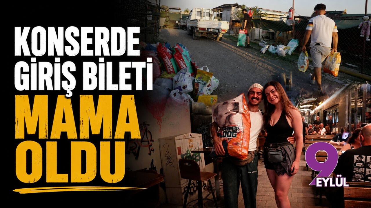 Konserde giriş bileti mama oldu: Yarım ton topladılar