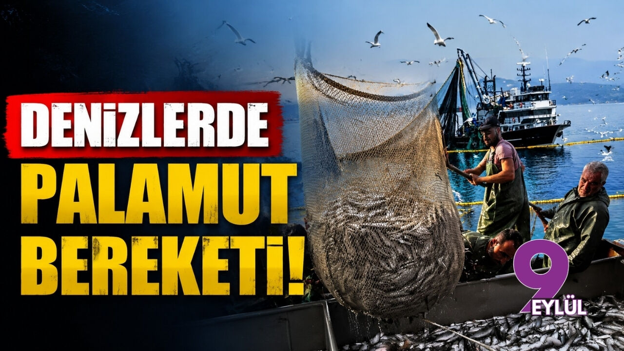 Denizlerde palamut bereketi!