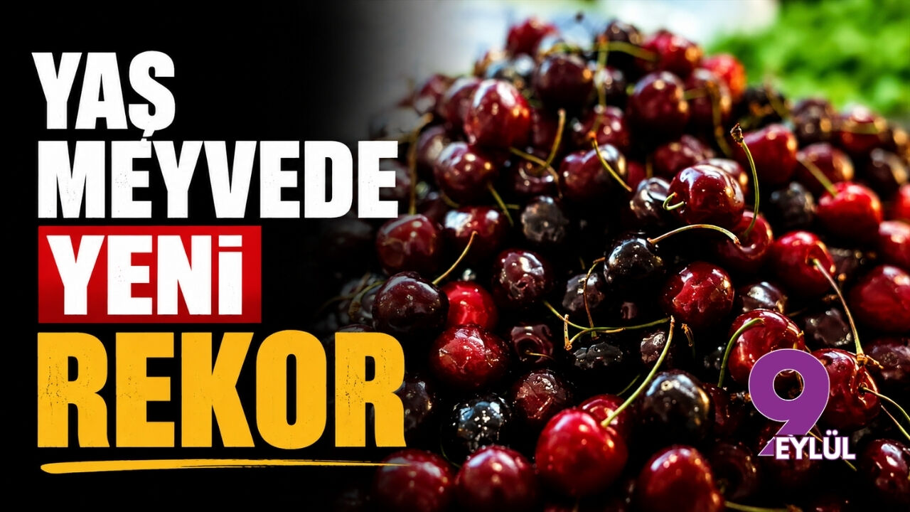 Yaş meyvede yeni rekor