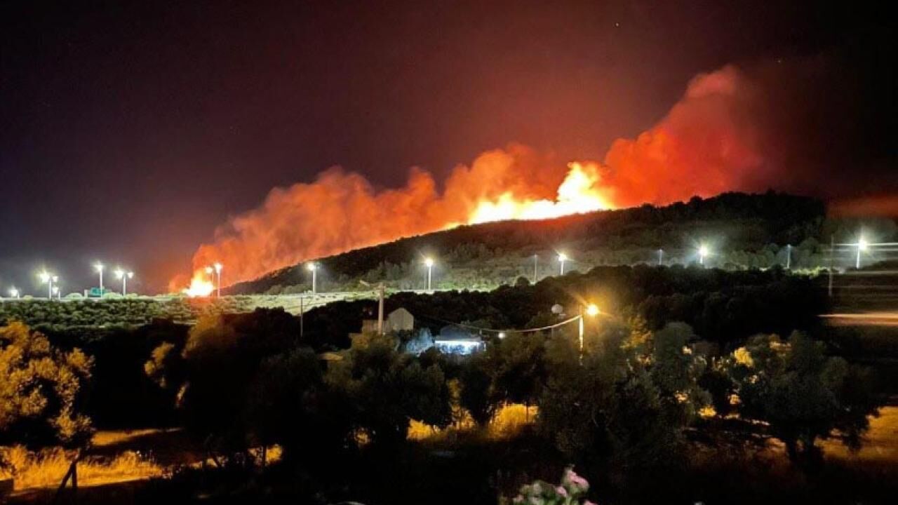 Izmir Orman Yangını2