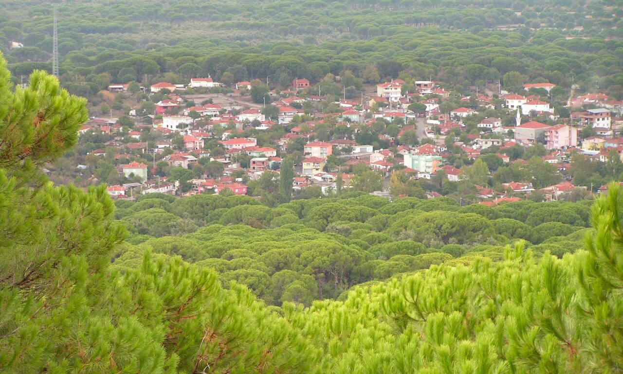 Kozakbüyükfotoğraf 1