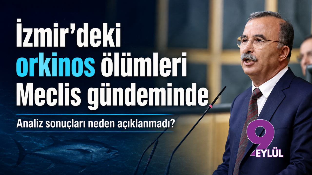 İzmir’deki orkinos ölümleri Meclis gündeminde