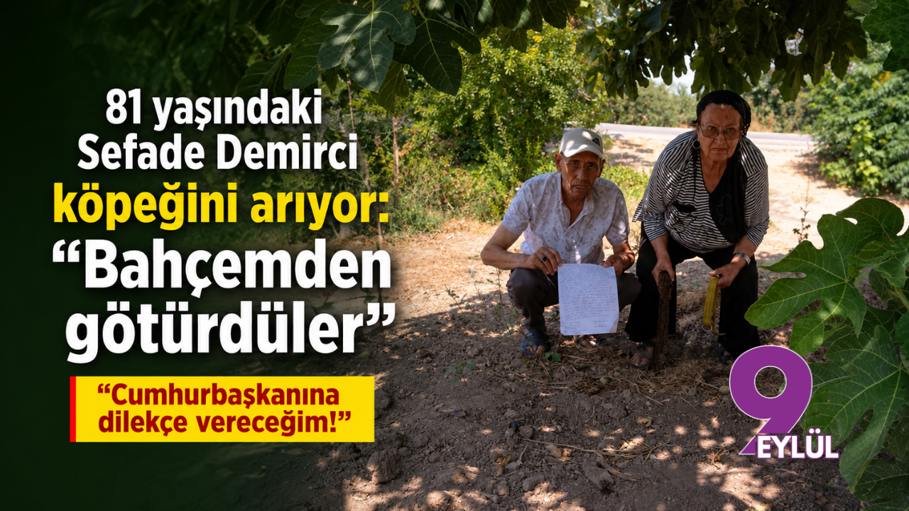 81 yaşındaki Sefade Demirci köpeğini arıyor: Cumhurbaşkanına dilekçe vereceğim!