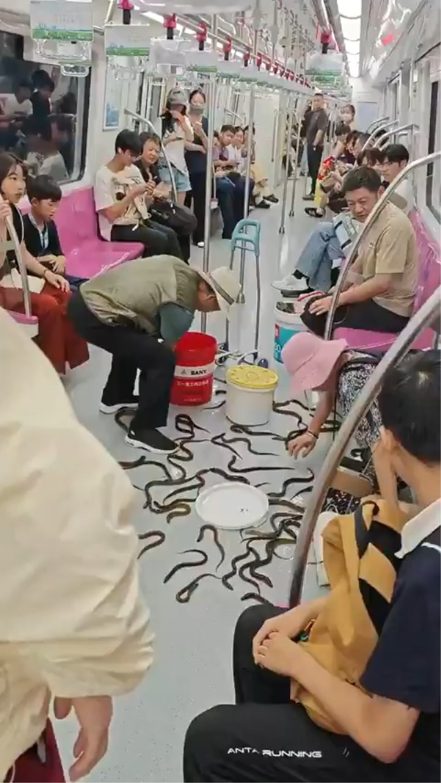 Metroda Yilan Panigi Gercek Or 20159677 2557 1 M