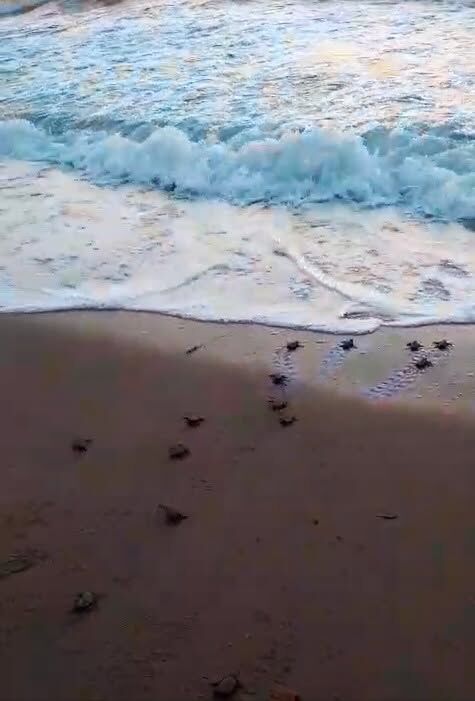 797746024 821772350997643 2408751486747619469 N