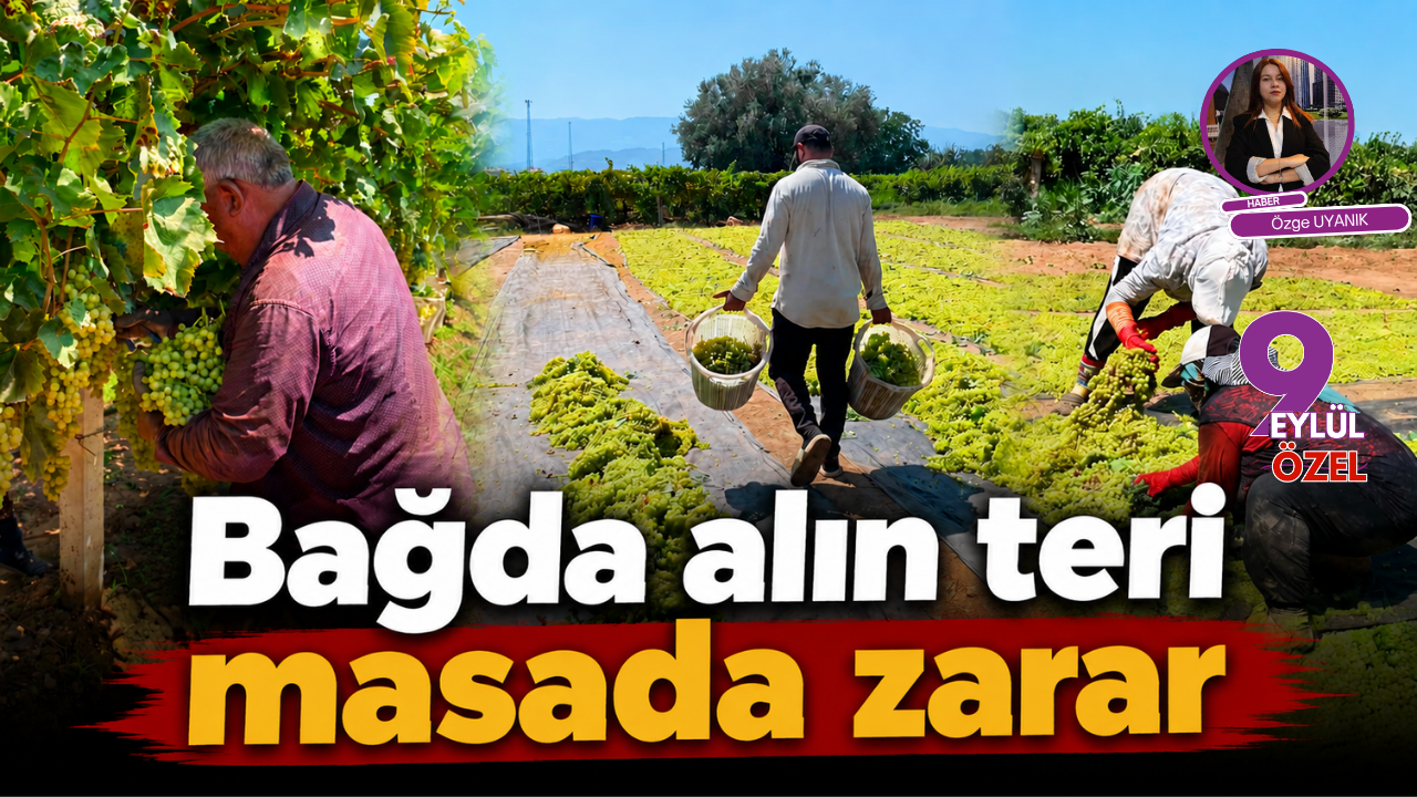 Bağda emek, masada zarar