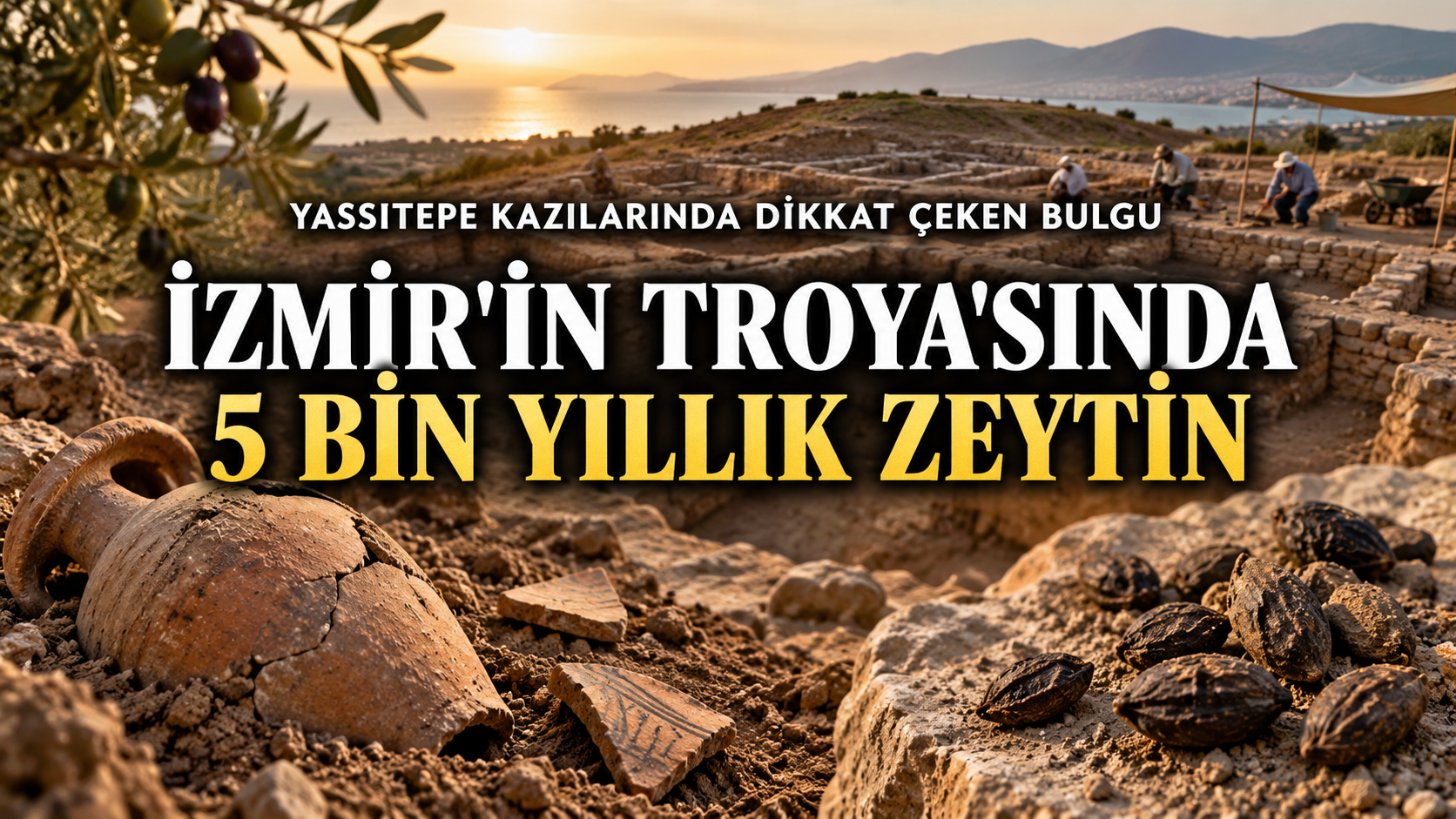 İzmir’in Troya’sında 5 bin yıllık zeytin