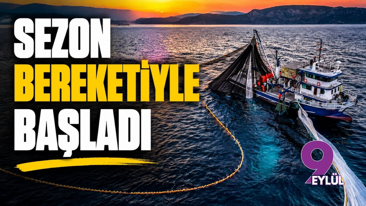 Egeli balıkçılar yeni sezona hamsi bereketiyle başladı: İlk gecede ağlar doldu