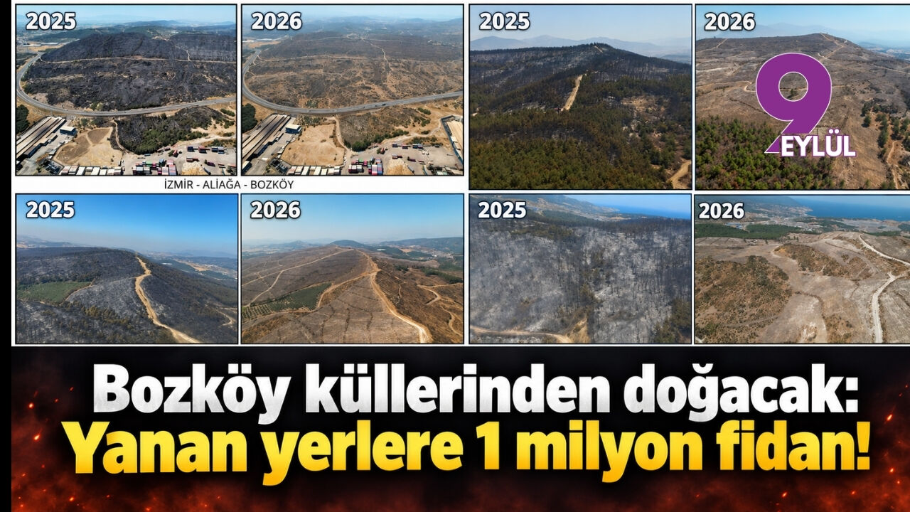 Bozköy küllerinden doğacak: Yanan yerlere 1 milyon fidan!
