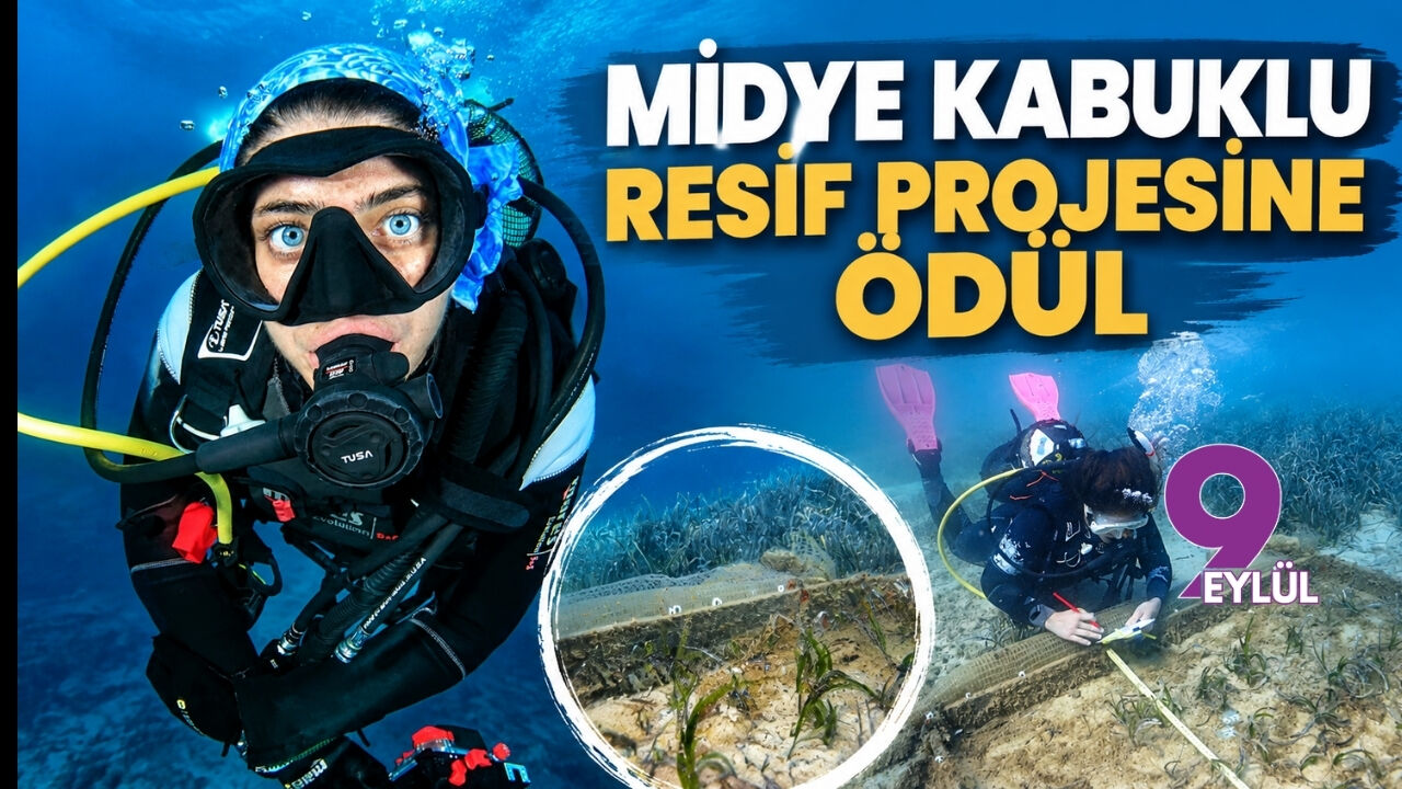 Midye kabuklu resif projesine ödül