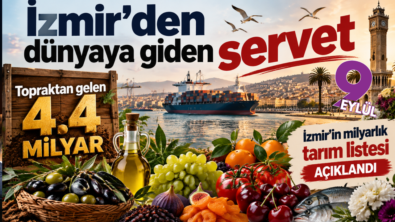 İzmir’in altın ürünü zeytin dünyaya açılıyor: Tarımdan 4,4 milyar dolarlık ihracat