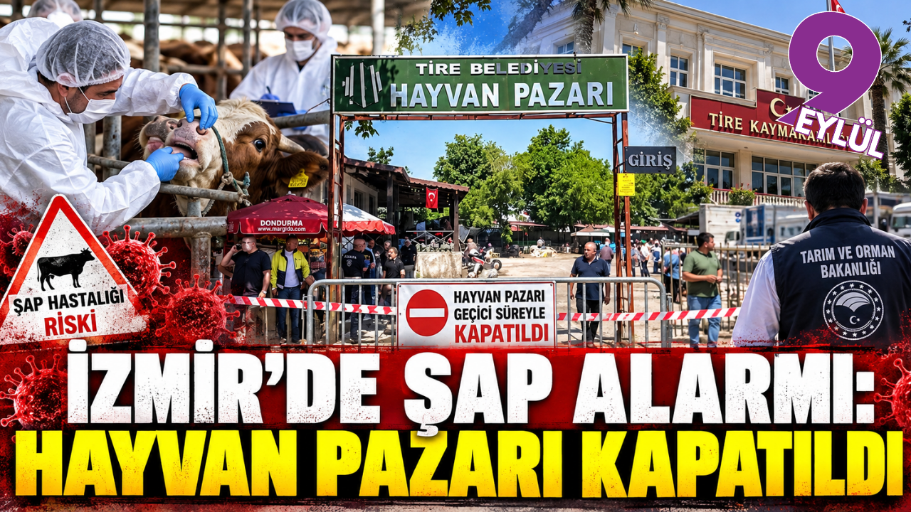 Tire’de şap alarmı: Hayvan Pazarı kapatıldı
