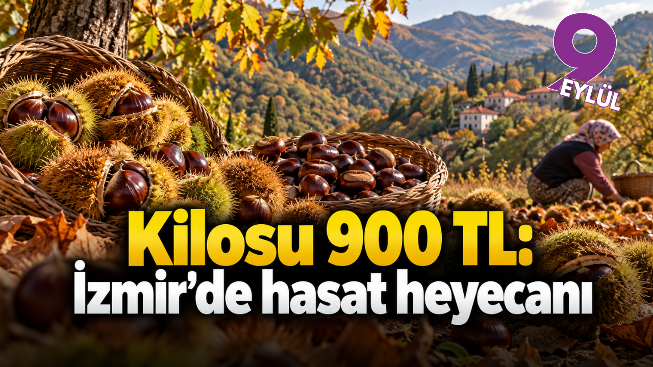 Kestanenin kilosu 900 liraya çıktı: Gözler İzmir ve Aydın'da
