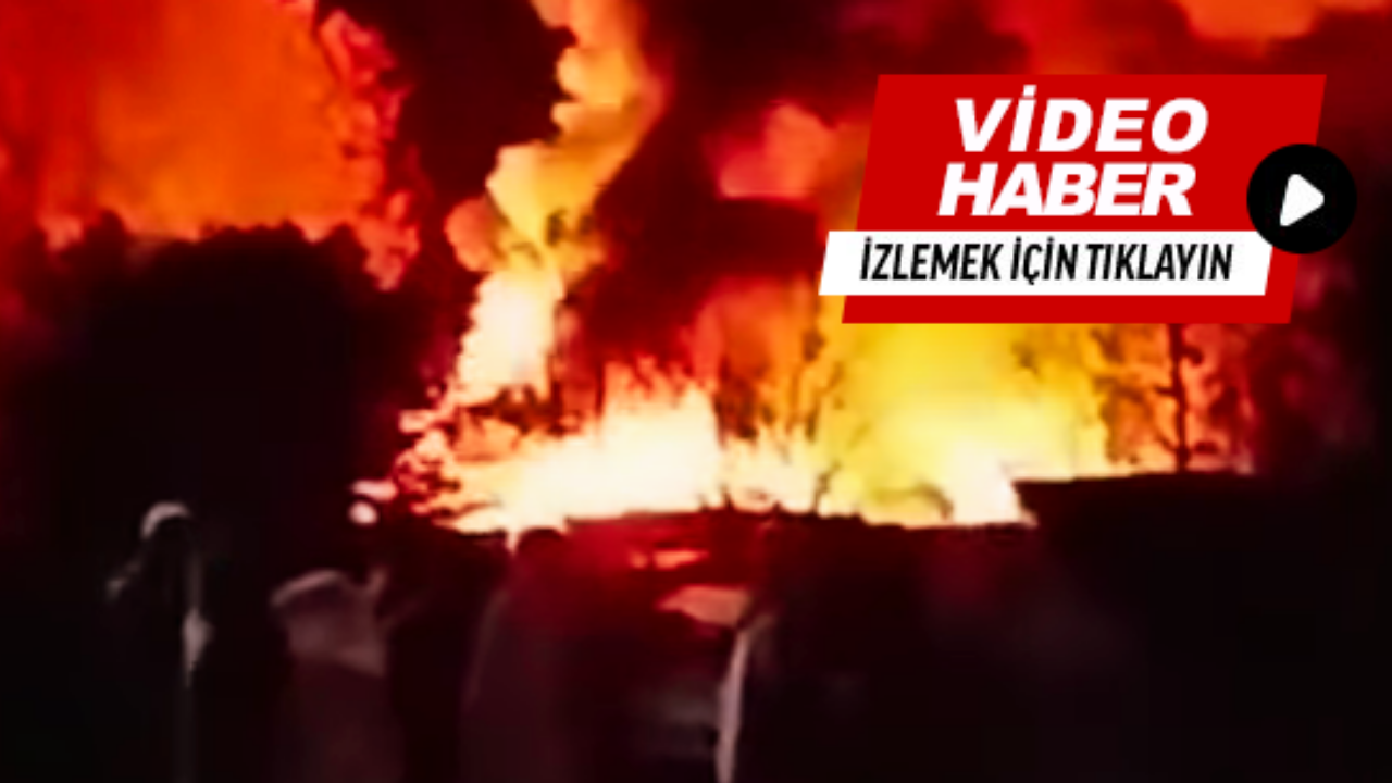 Uçak düştü: 6 ölü, 1 yaralı