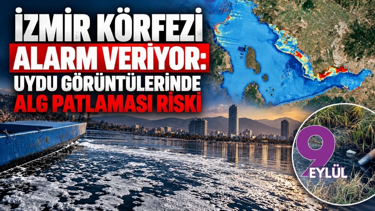 İzmir Körfezi alarm veriyor: Uydu görüntülerinde alg patlaması riski
