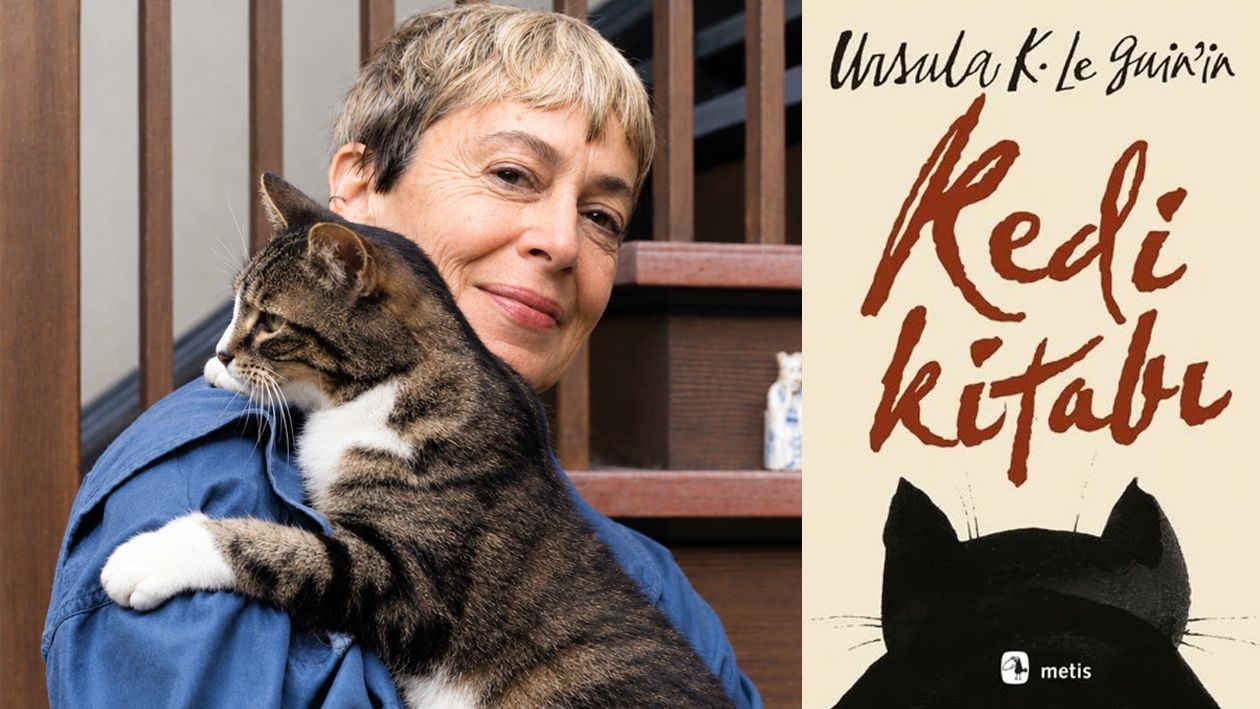2. Ursula Kedi Kitabı Internet Icin