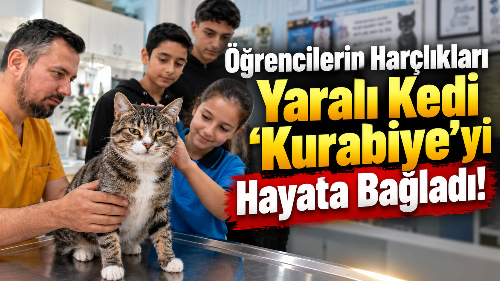Öğrencilerin Harçlıkları Yaralı Kedi 'Kurabiye'yi Hayata Bağladı!