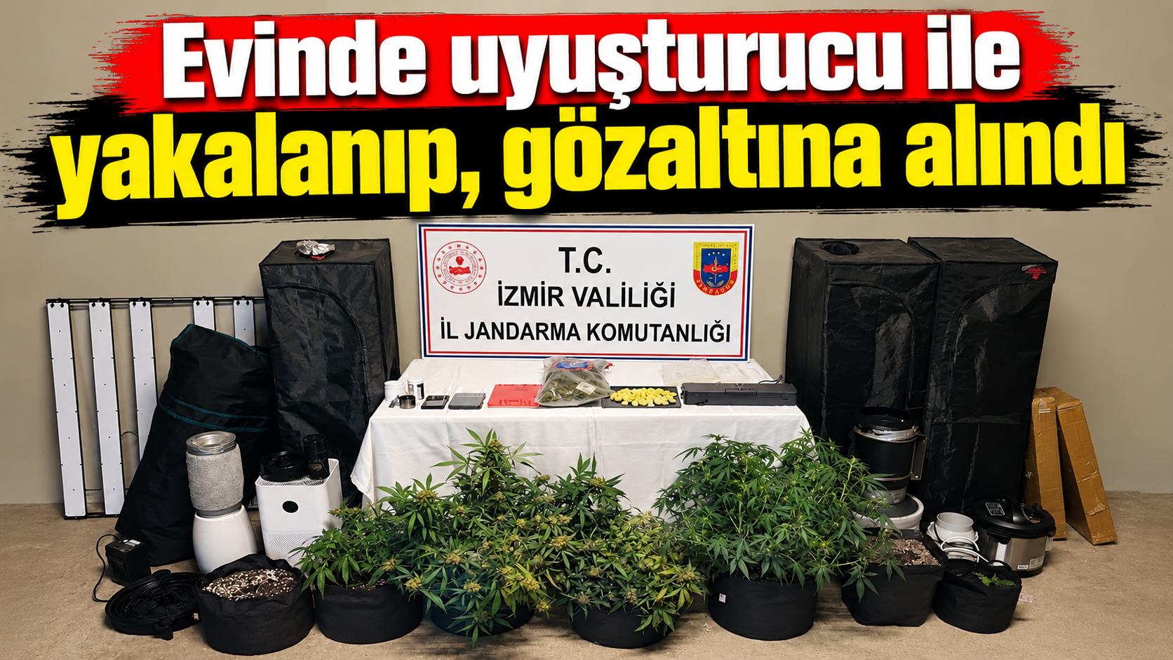 Mavişehir'de uyuşturucu serasına jandarma darbesi