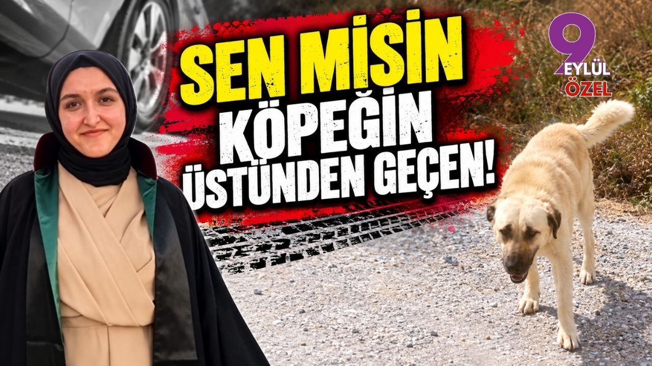 SEN MİSİN KÖPEĞİN ÜSTÜNDEN GEÇEN!