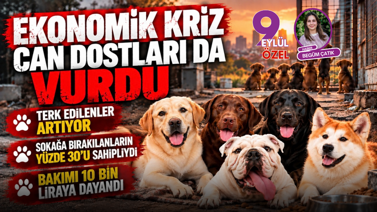 Ekonomik kriz can dostları da vurdu!
