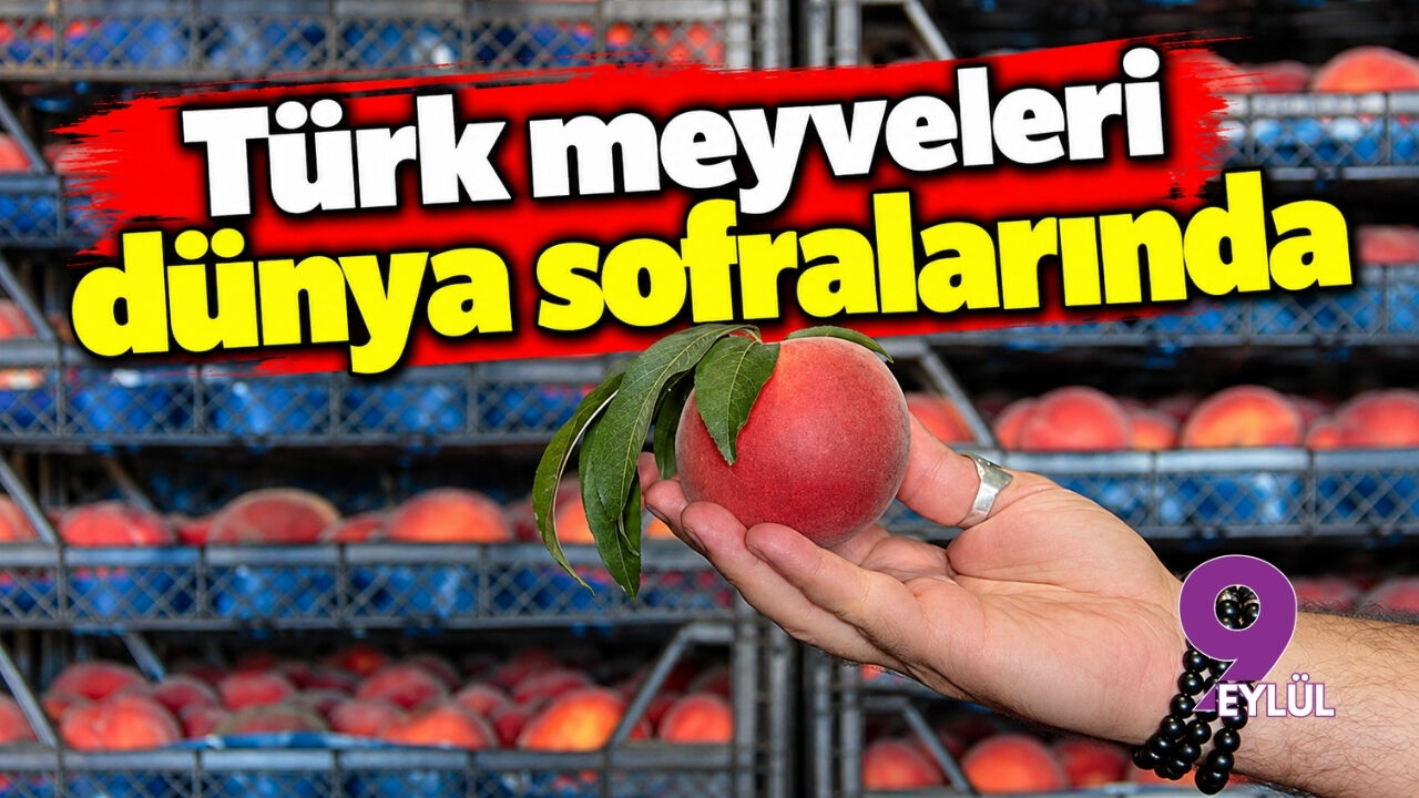 Türk meyveleri dünya sofralarında