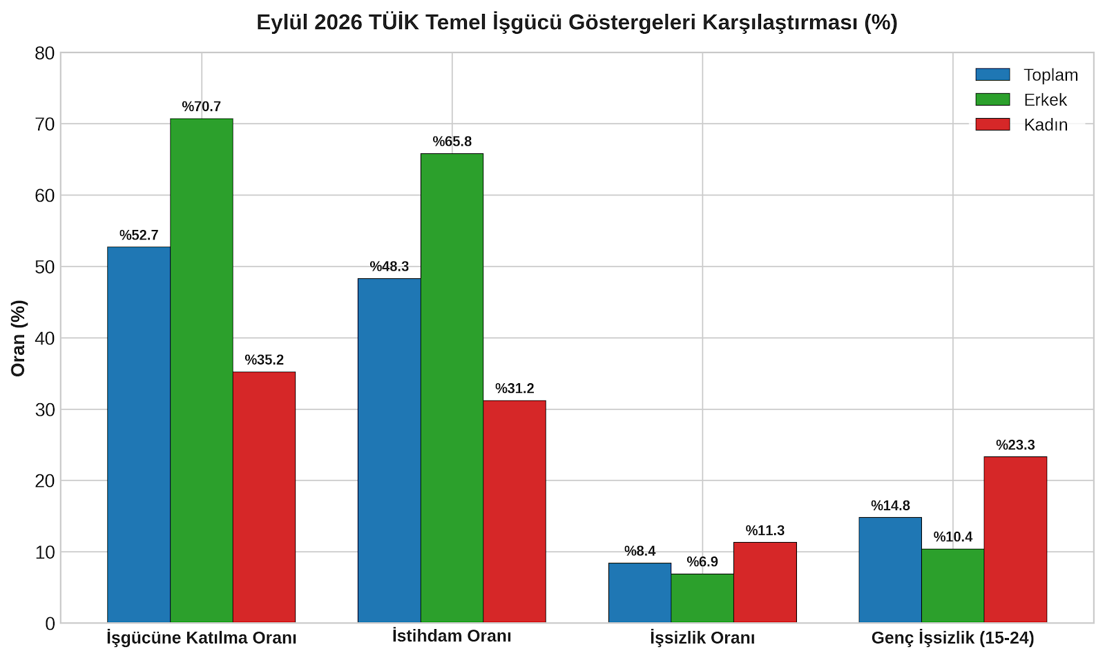 Isgucu Karsilastirma