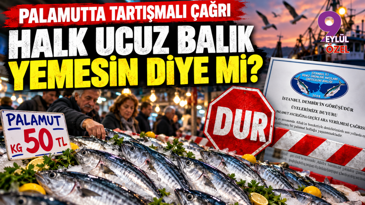 Halk ucuz balık yemesin diye avı durdurma çağrısı!