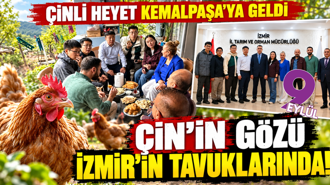 Çin'den İzmir'e tavukçuluk çıkarması!