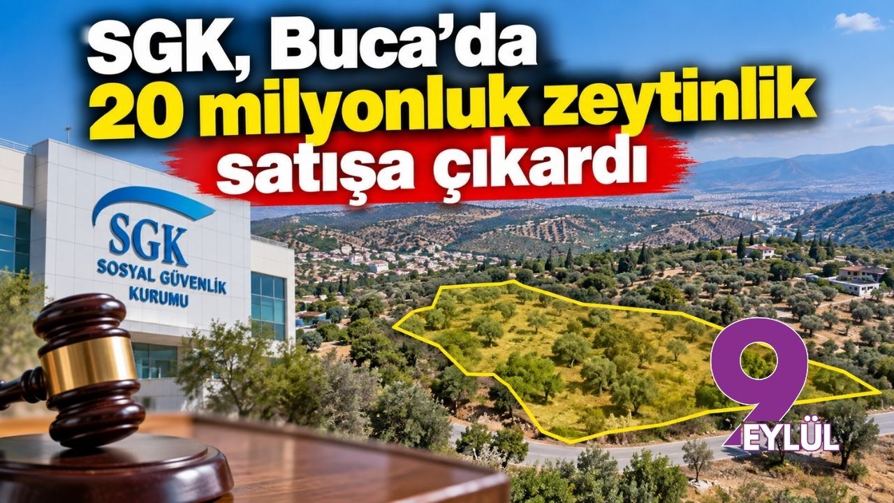 SGK, Buca’da 20 milyonluk zeytinlik satışa çıkardı