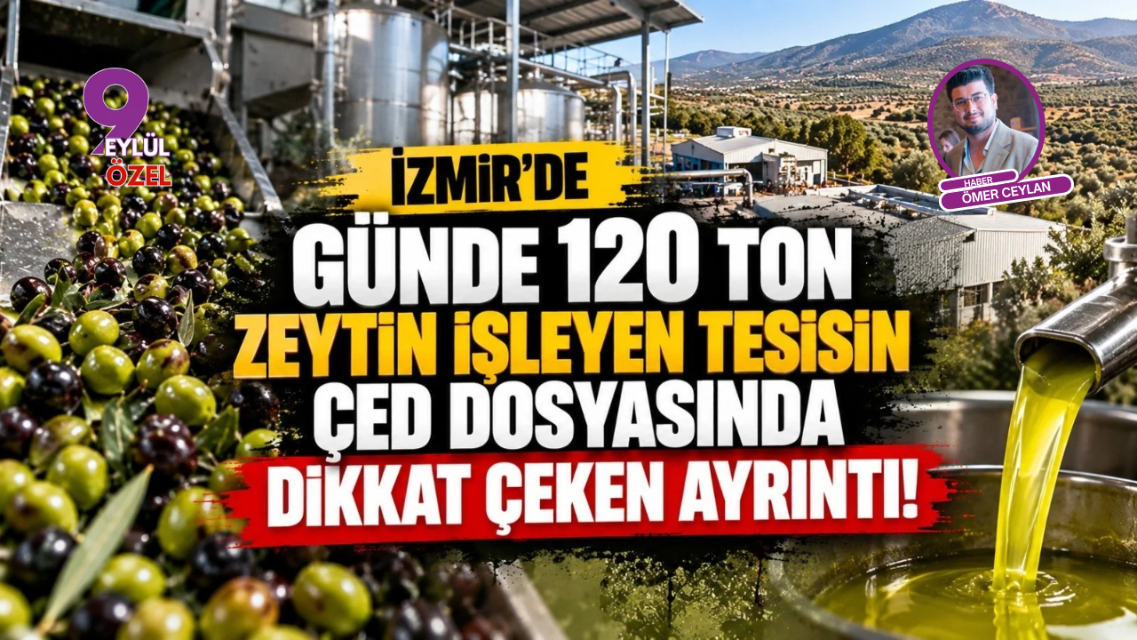 İzmir'de günde 120 ton zeytin işleyen tesisin ÇED dosyasında dikkat çeken ayrıntı!