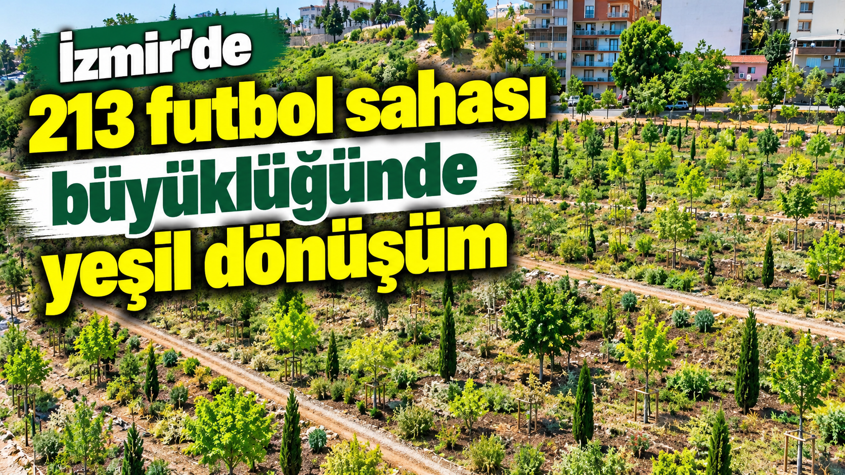 İzmir’de 213 futbol sahası büyüklüğünde yeşil dönüşüm
