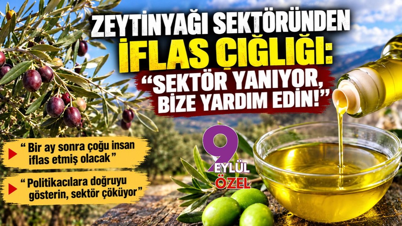 Zeytinyağı sektöründen iflas çığlığı: “Sektör yanıyor, bize yardım edin!”